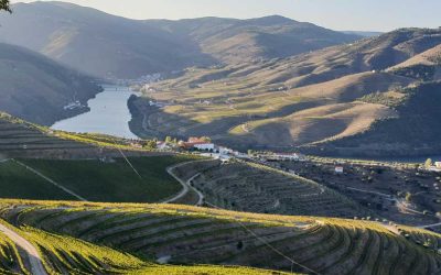 A Wine Enthusiast’s Guide to Portugal